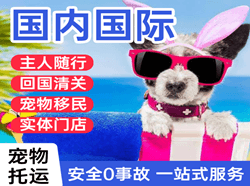 南通兴东航空托运国际宠物托运 【国